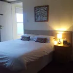 The Grey Horse 3*